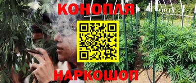 спиды Михайловка