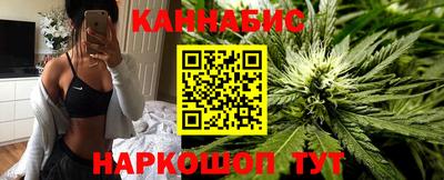 шишки Мирный