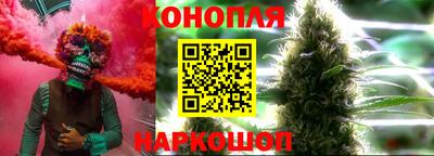 шишки Мирный